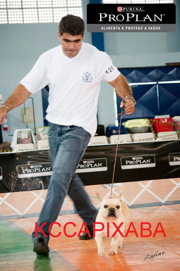 Clique sobre a foto para fechar